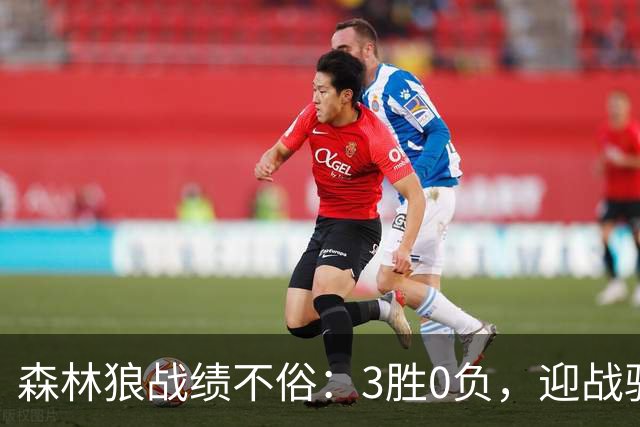 森林狼战绩不俗：3胜0负，迎战骑士前的喜悦分享